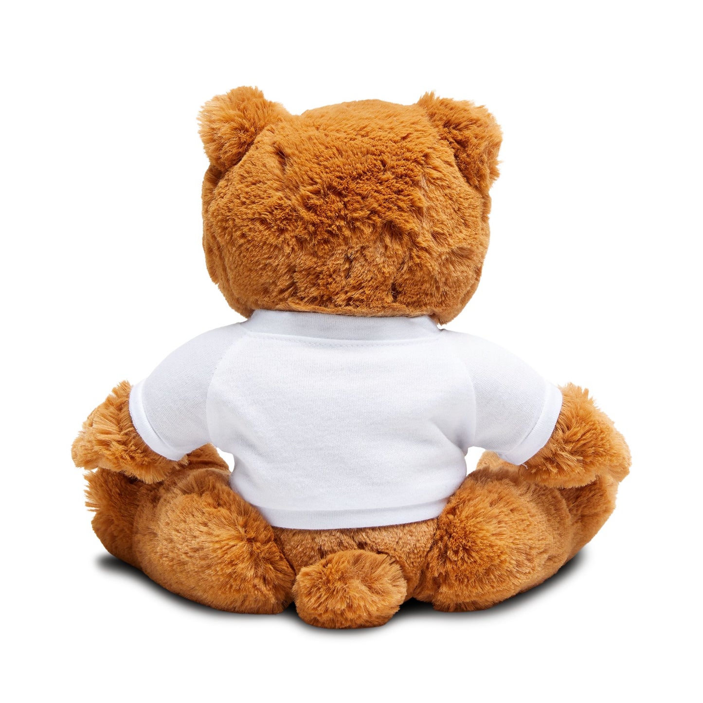 Plush Teddy Bear — with LSPC T‑Shirt