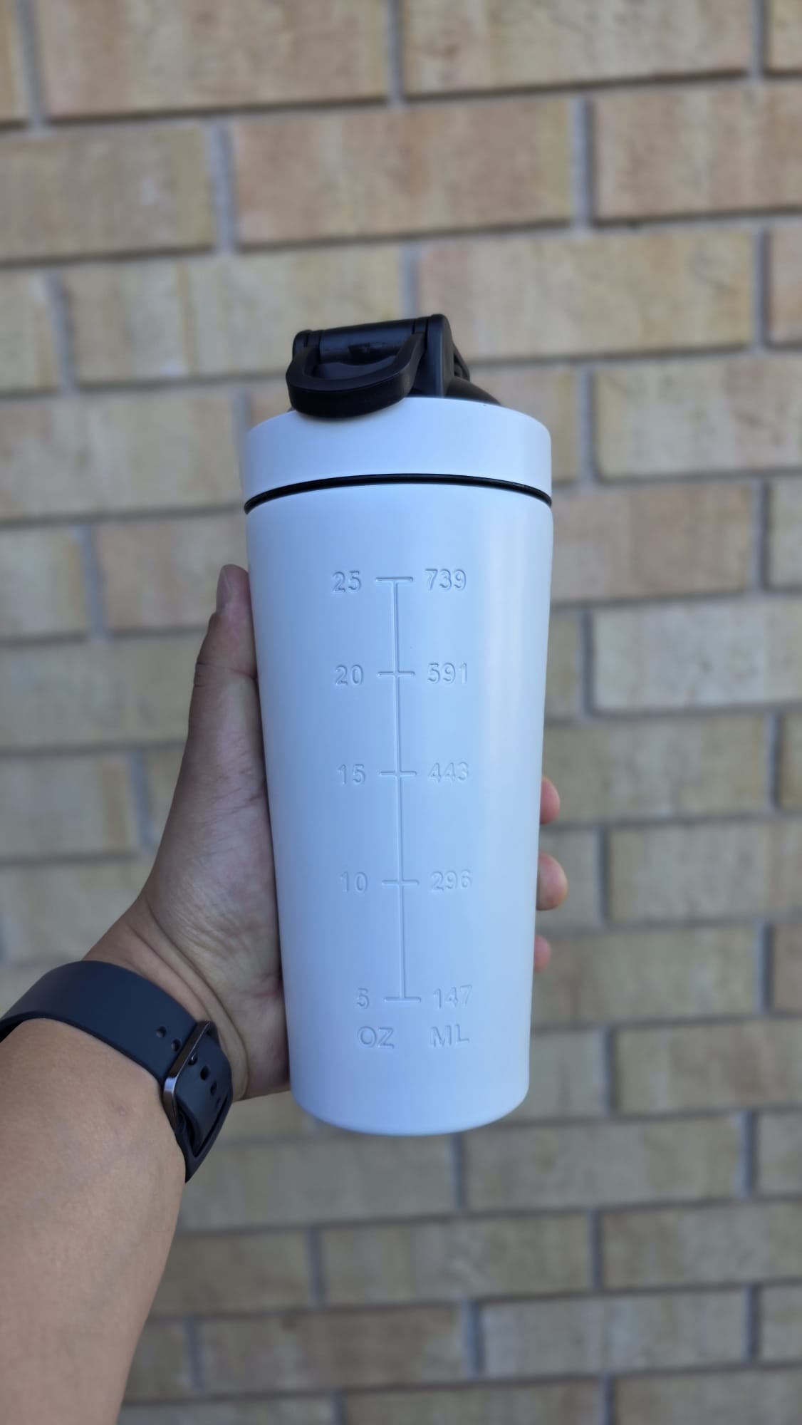 LSPC Premium Stainless Steel Protein Shaker | 739mL